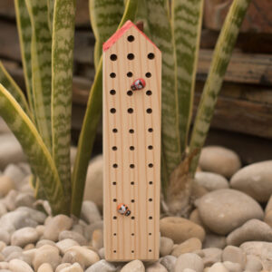 Tutus Loco bee hotel single short on pebbles.