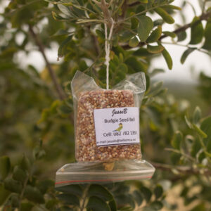 Small budgie seed bell from JessB in tree