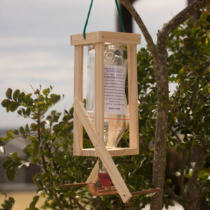 Double Nectar bird feeder in tree