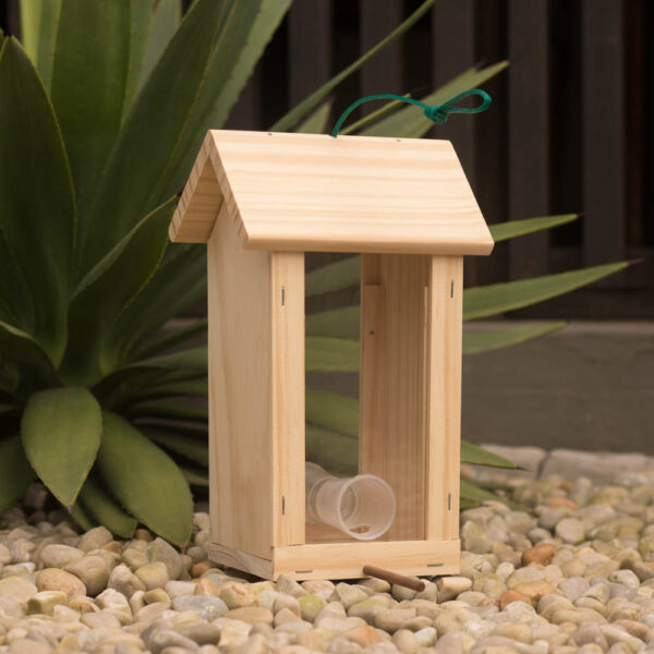 Perspex seed-house bird feeder for smaller seed eaters.