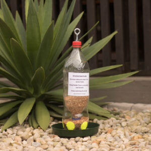 The JessB wild-bird 1L seed bottle photographed in garden with pebbles.