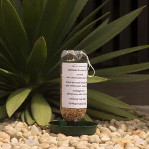 The 300g seed bottle from JessB for smaller seed-eating wild-birds.