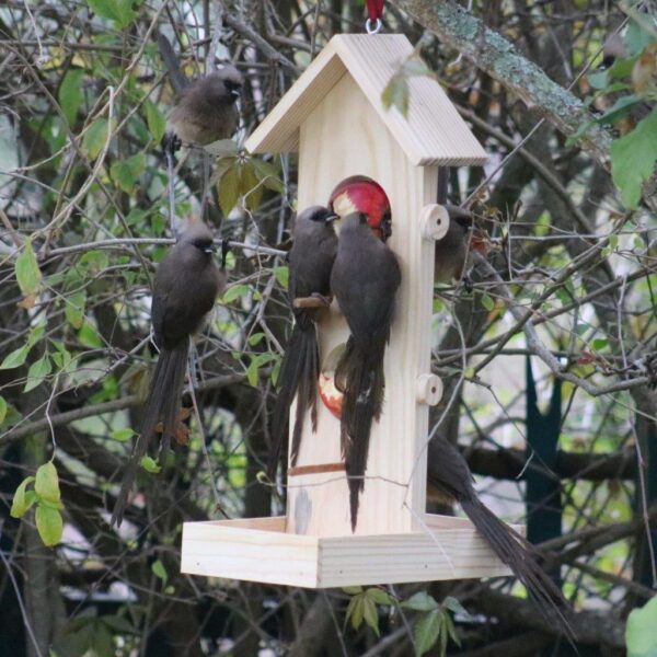 Double fruit and nut bird feeder with mouse birds.