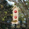 Double fruit and nut bird feeder with cape weaver.