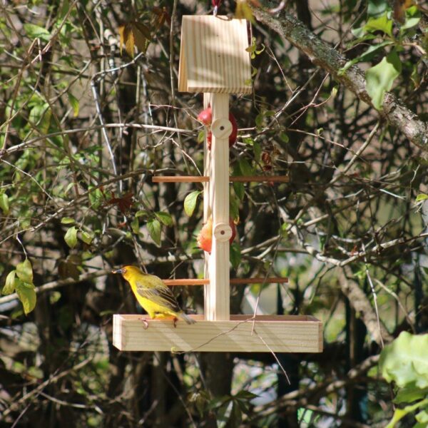 Double fruit and nut bird feeder seen from the side.