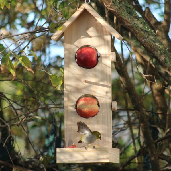 Double fruit and nut bird feeder with Swee Waxbill.