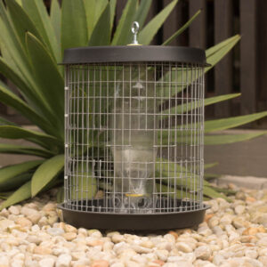 The Galvanized Mannikin feeder from JessB with plant background