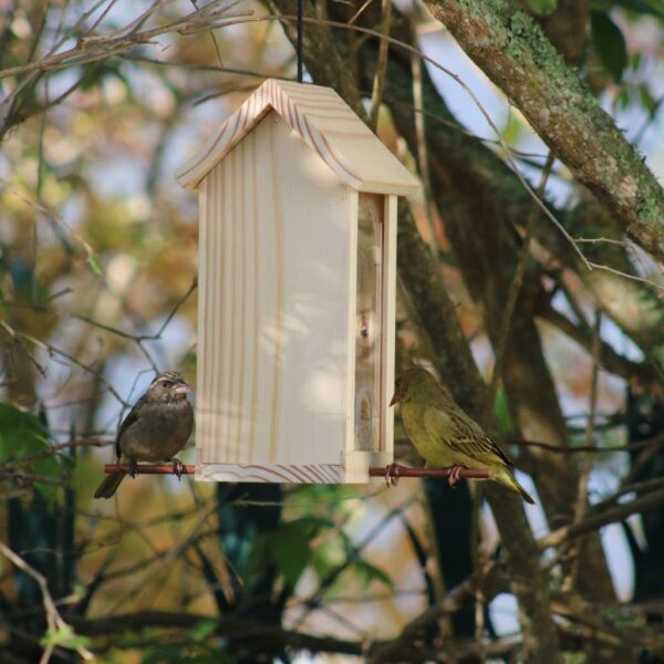 Two birds on perspex seed house.
