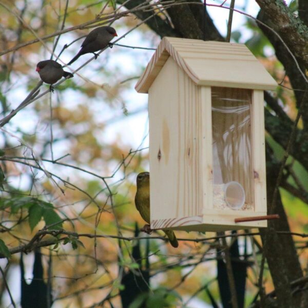 Perspex Seed-House Bird Feeder from JessB - Image 3