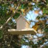 Male weaver on wild-bird seed house with tray.