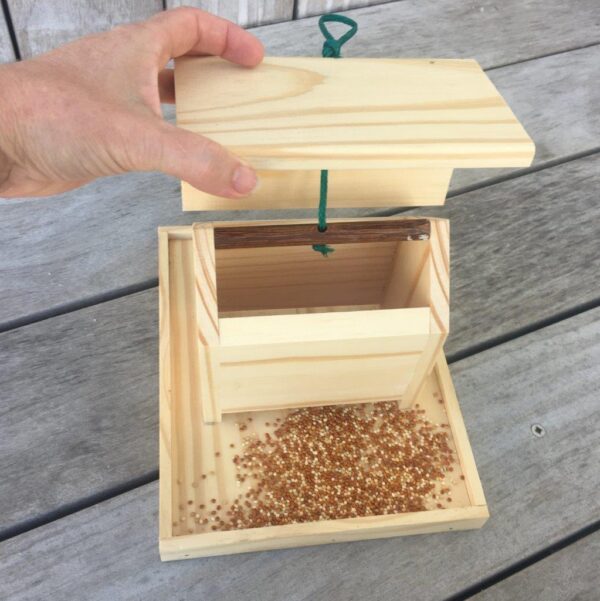 Wild-bird seed house with open lid