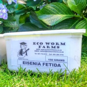 Eco Red Wiggler Composting Worms a packaged per gram into containers suitable for travel.