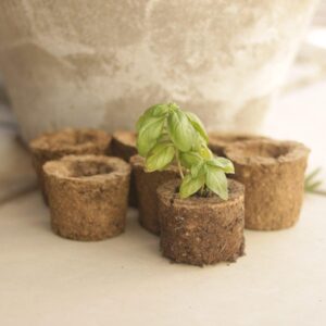 SeedPod seed pots are sold in boxes of six. They are 100 % biodegradable.