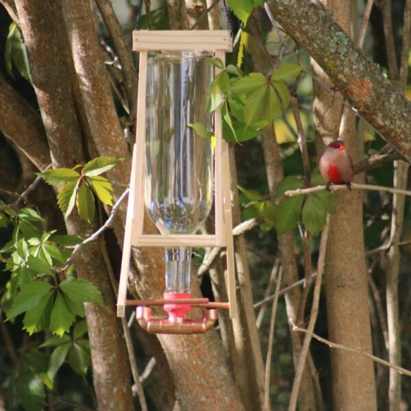 Front view of double nectar feeder.