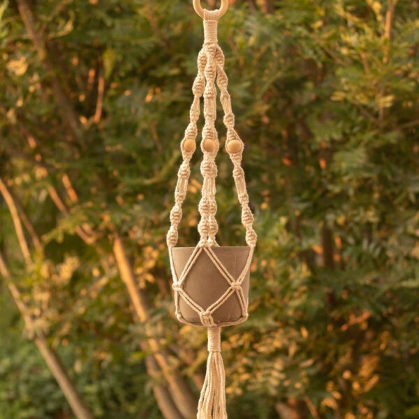 Jade Macramé plant hanger featured with a tree in the background.