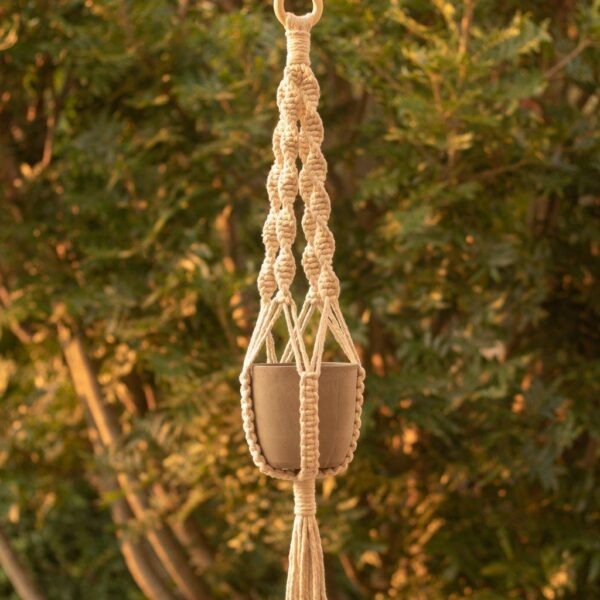 Macramé Plant hanger in Lisa design product picture with tree background