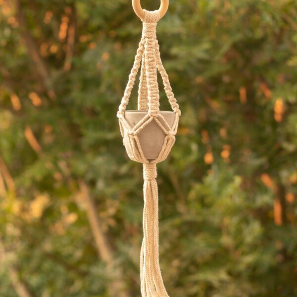 The gorgeous Twinx Macrame plant hanger in garden.