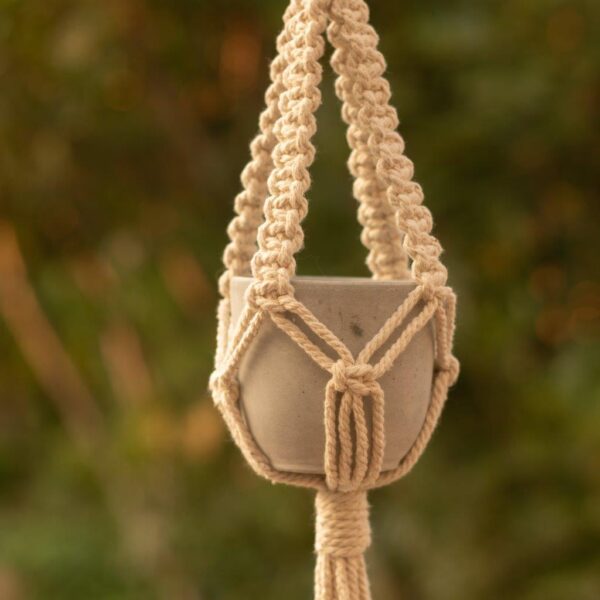Closeup photo of the Twinx macrame plant hanger.