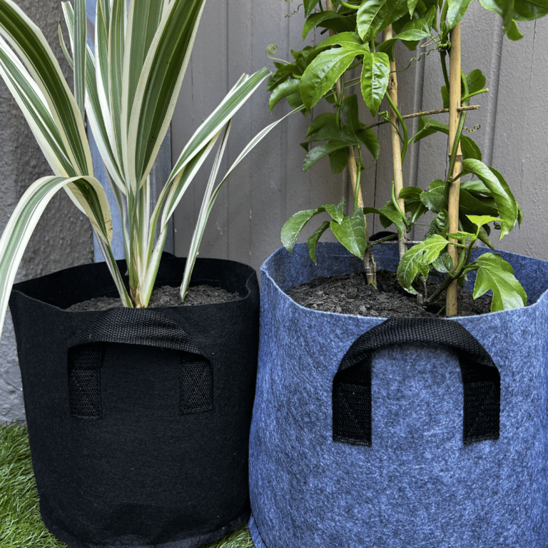 https://www.gardeninggonewild.co.za/wp-content/uploads/2022/09/grow-bags-in-black-and-grey.png