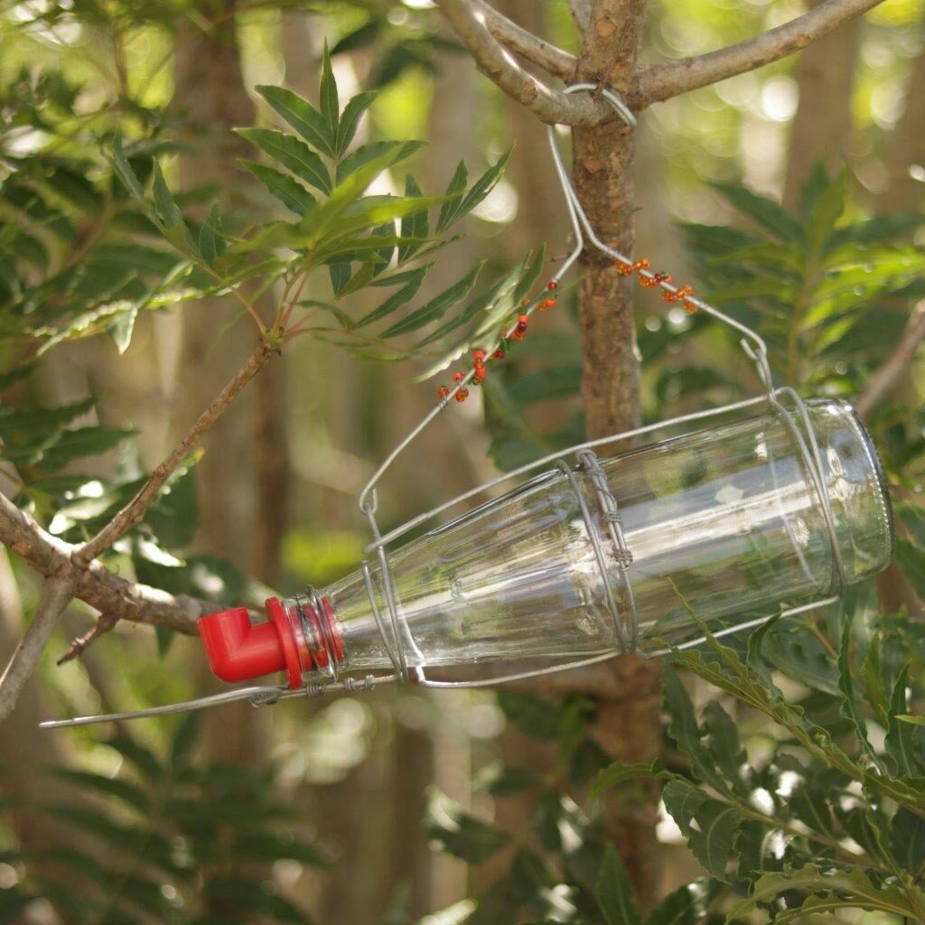 Beaded Nectar Bird Feeder Gardening Gone Wild