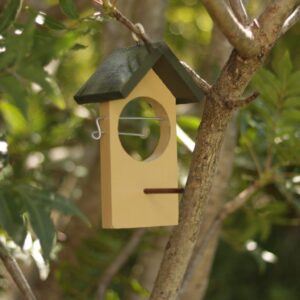 The single fruit bird feeder is painted in a lovely dark khaki and beige.