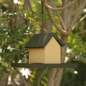 Wild bird seed house with tray feeder painted in dark khaki and beige paint. Varnished to protect against weather.